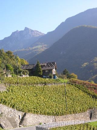 Aigle - Weinanbaugebiet am Genfer See
